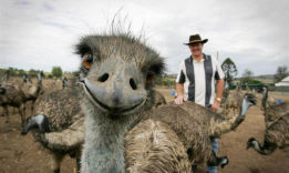 How to enjoy life: 5 best tips