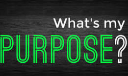 What is the purpose of life?