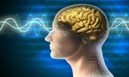 How to increase intelligence: effective methods
