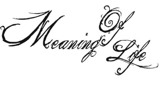 what-is-the-meaning-of-life