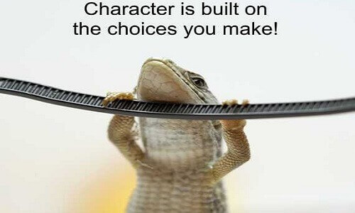 how-to-build-character
