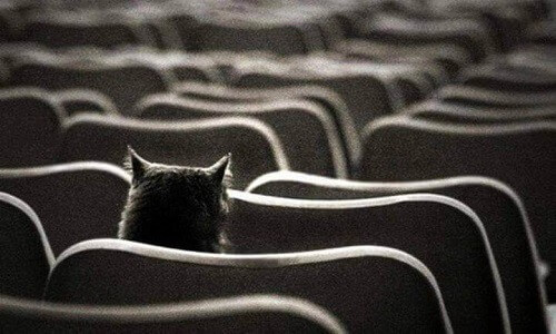 how-to-cope-with-loneliness