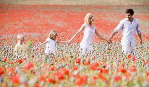 how-to-love-your-family