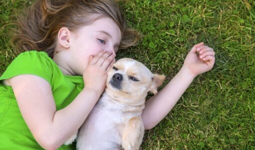how-to-talk-to-animals