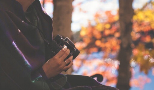 how-to-spy-on-someone-without-them-knowing